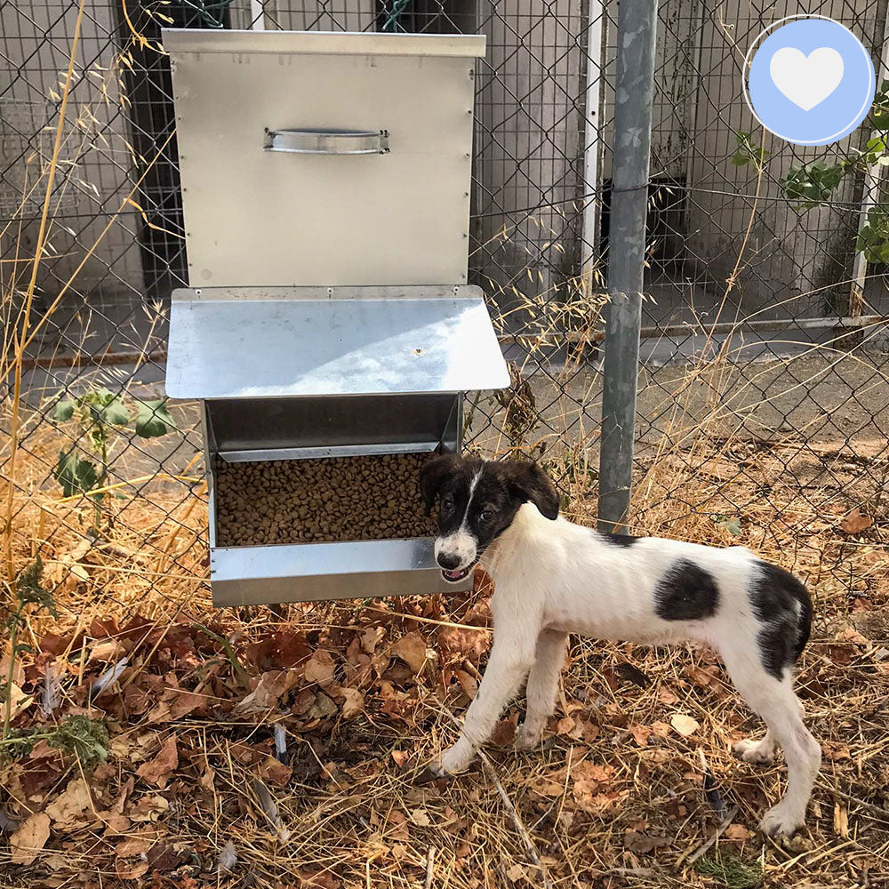 Funded: Help Hera, Iris, and Selene Beat Sickness and Malnutrition、mySite、camillekostekn