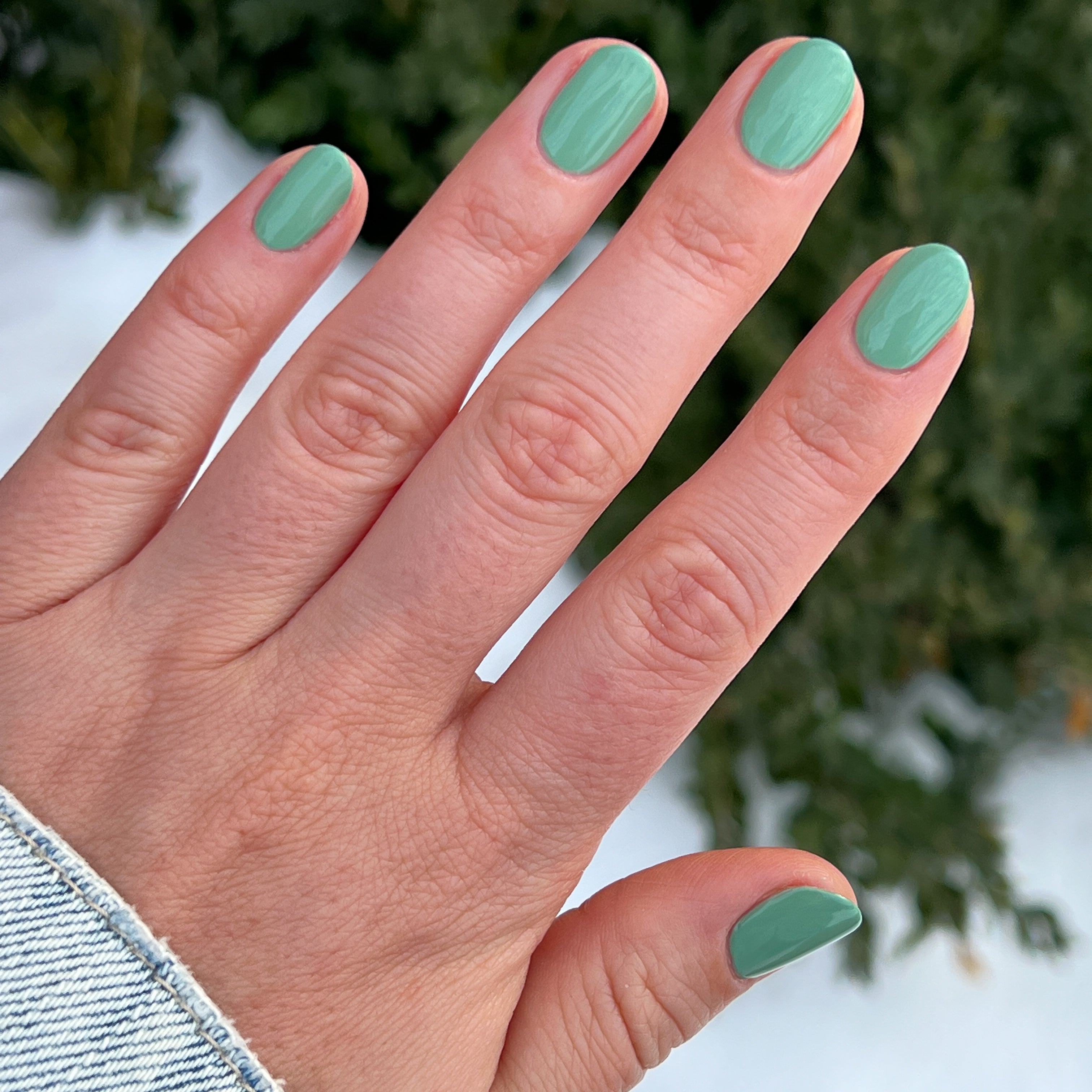 Cucumber Sandwich、mySite、solidvoid