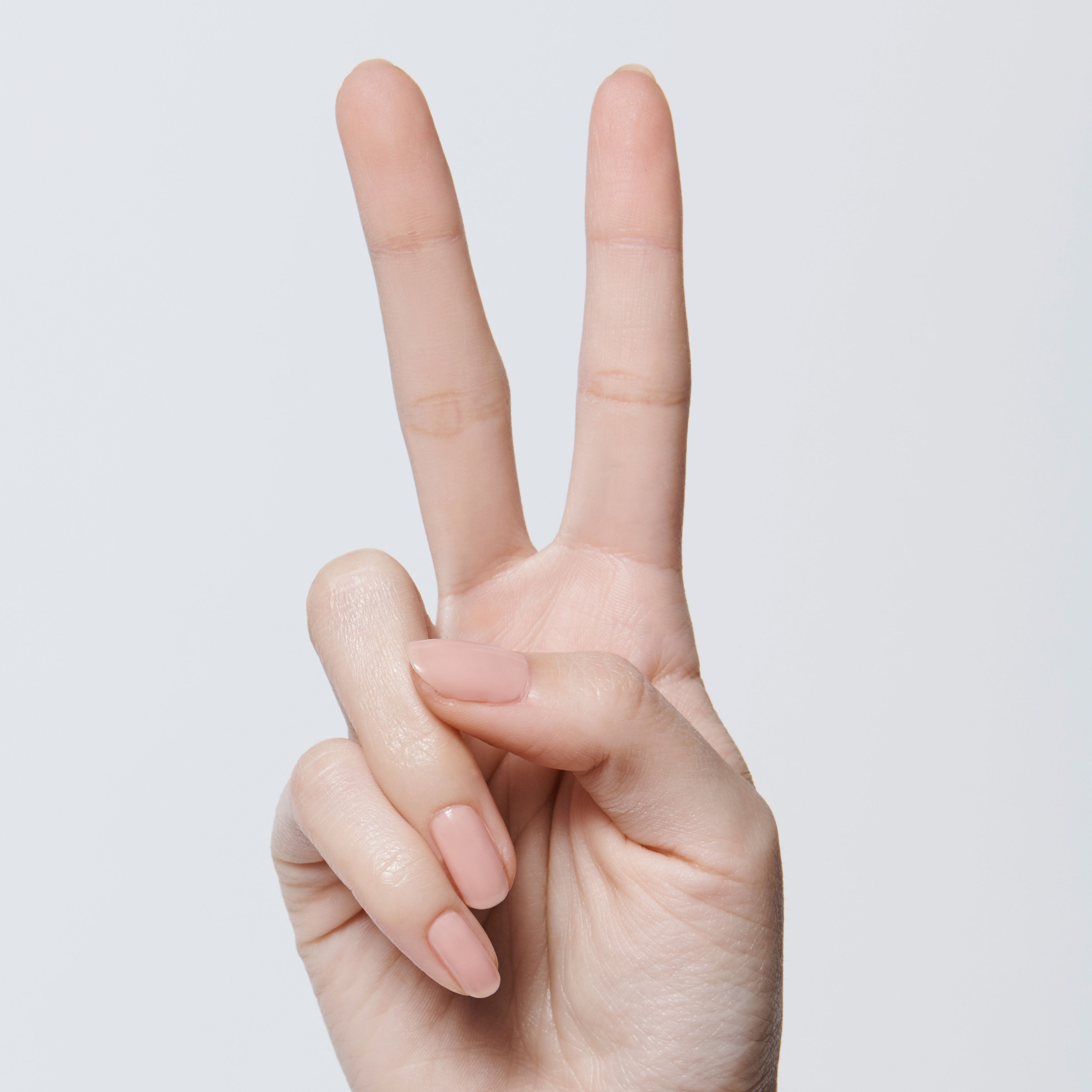 CHM - Part of Set、mySite、solidvoid