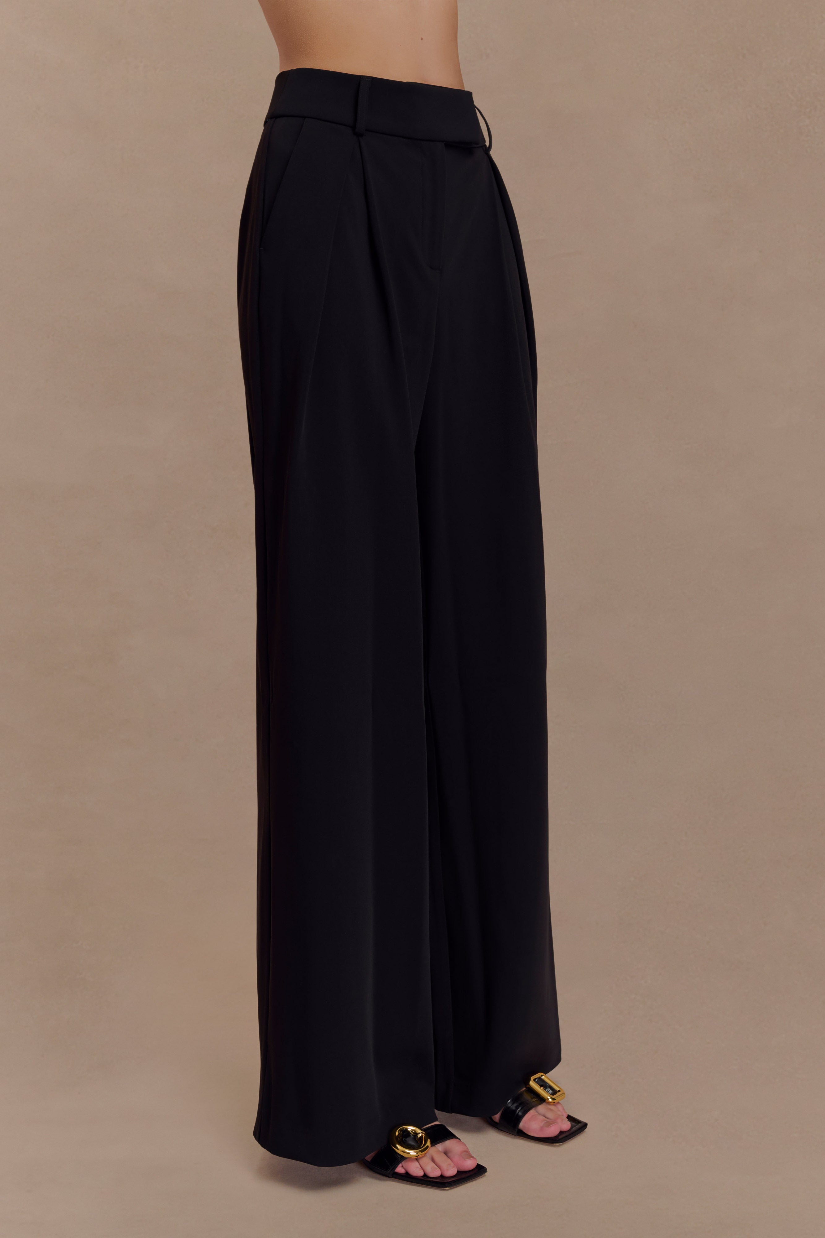 Jacqueline Pleated Wide Leg Pants - Black、mySite、solidvoid
