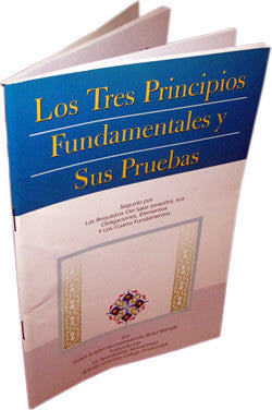 Spanish: Los Tres Principios Fundamentales Y Sus Pruebas、mySite、topwebapps