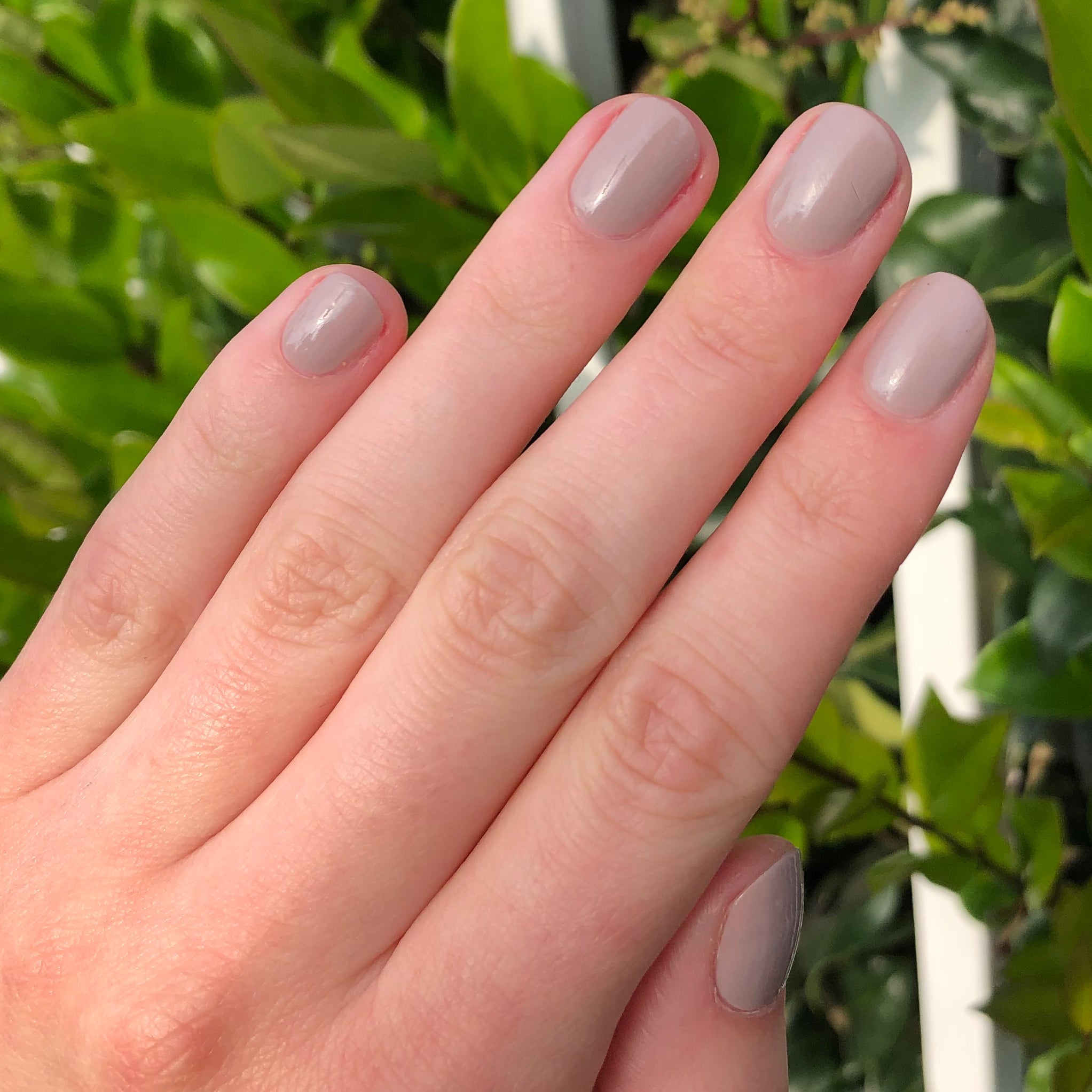 RP、mySite、solidvoid