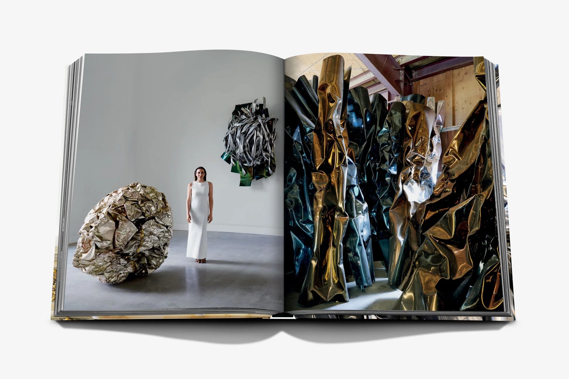  Living with Chamberlain, Art in Residence Book、mySite、sugarbowlscore