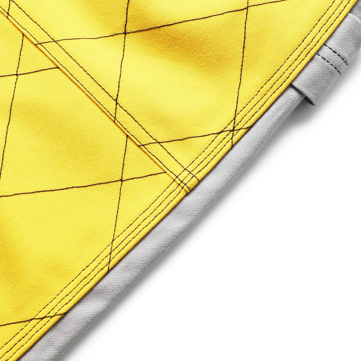 CANVAS W-KNEE ROOKIE PAINTER PANTS (2TONE)、mySite、zt4zffjzw