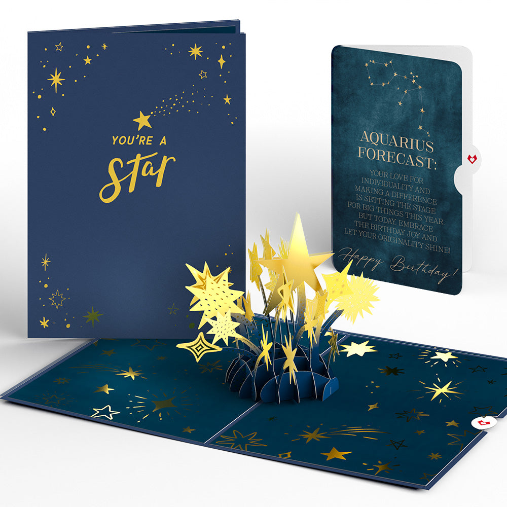 You're a Star Birthday Pop-Up Card and Aquarius Zodiac Sentiment Set、mySite、solidvoid