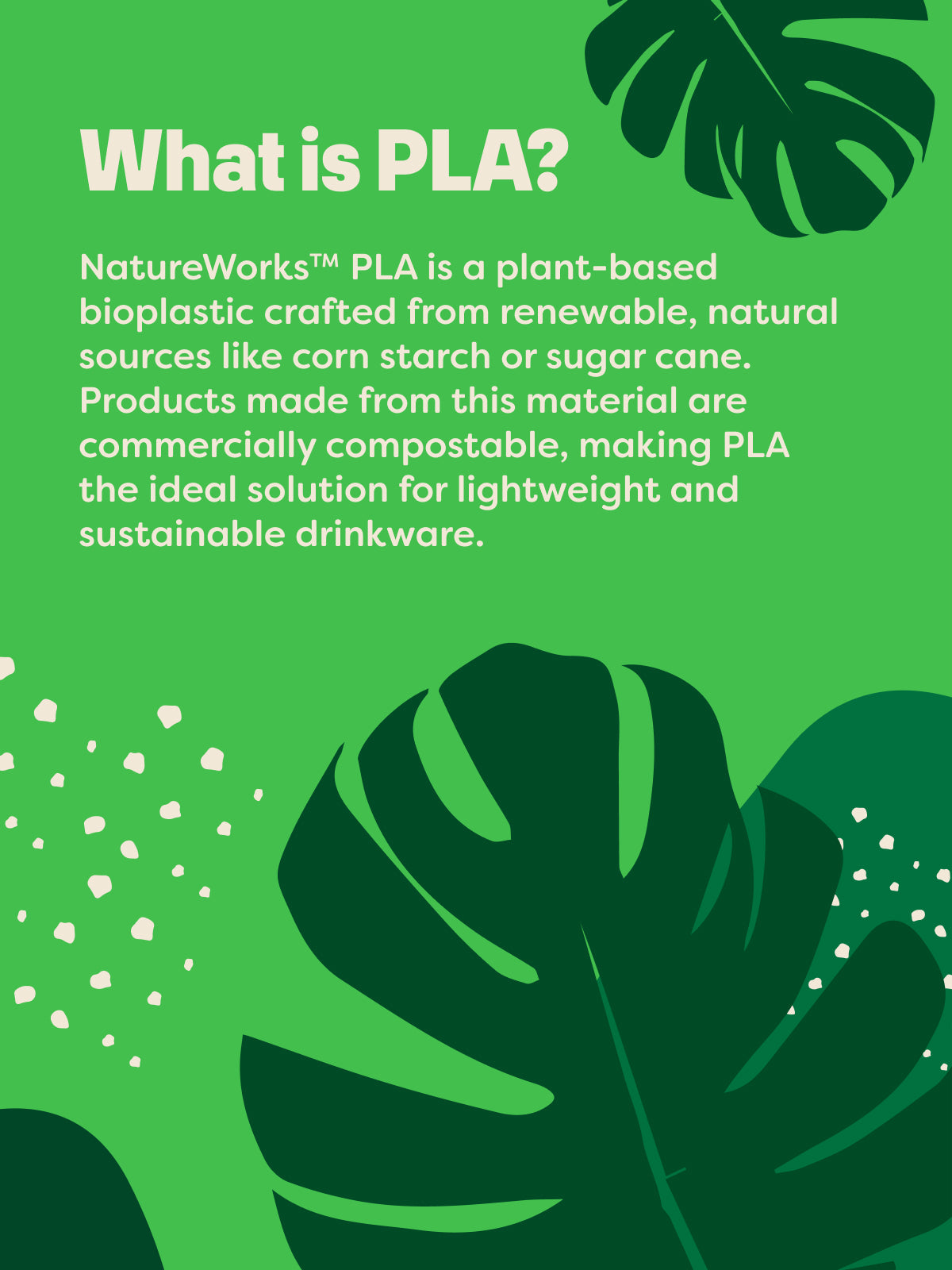 NATURAL 24oz Arc Compostable Cup - Bulk、mySite、camillekostekn