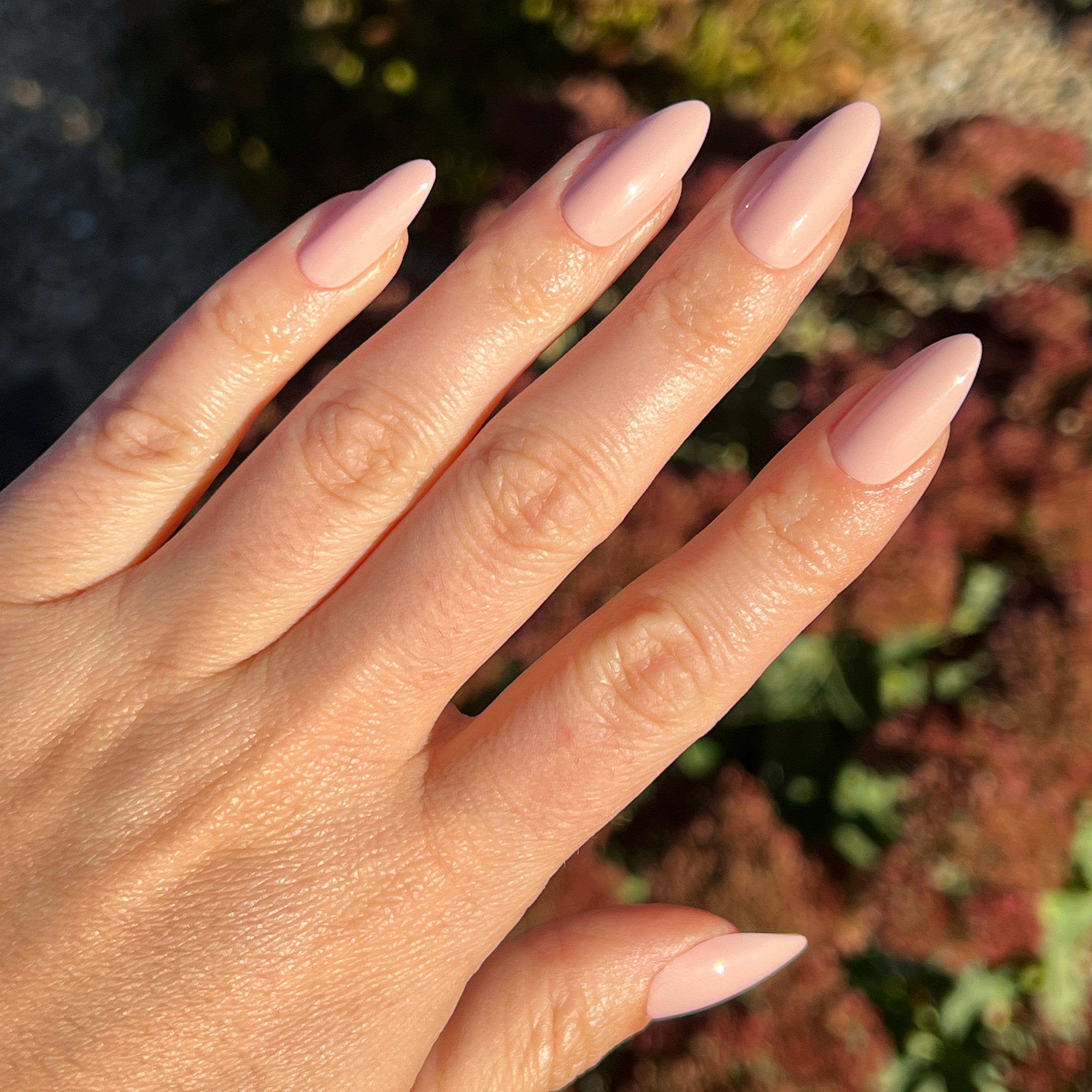 KAG - Press-On | Long | Almond、mySite、solidvoid