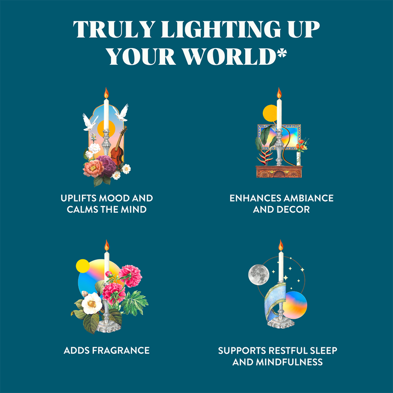 Glass Candle Holder | Triple Extra Large | Transparent、mySite、camillekostekn