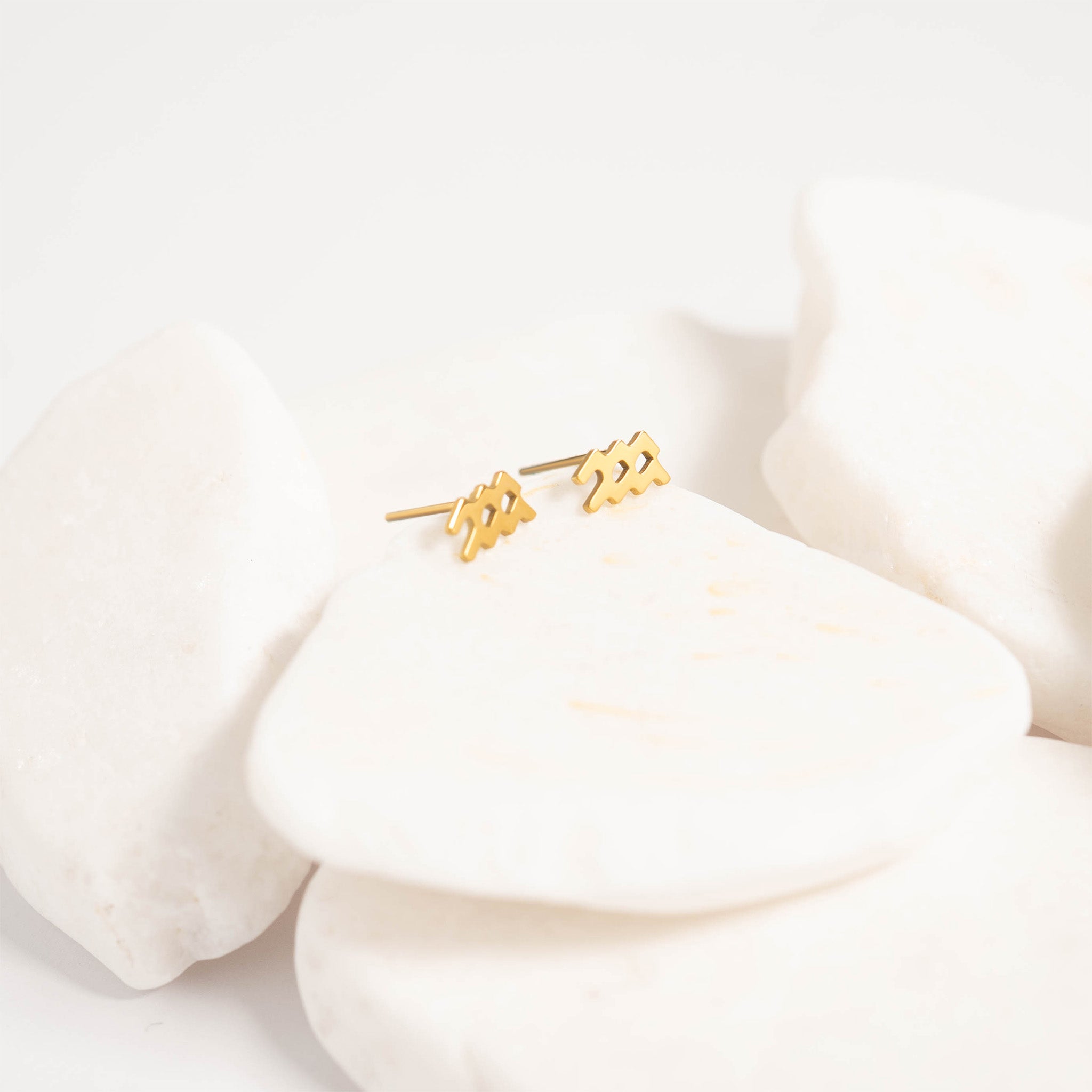 18K Gold PVD Stainless Steel Zodiac Stud Earrings / ERJ0059、mySite、dreamappss