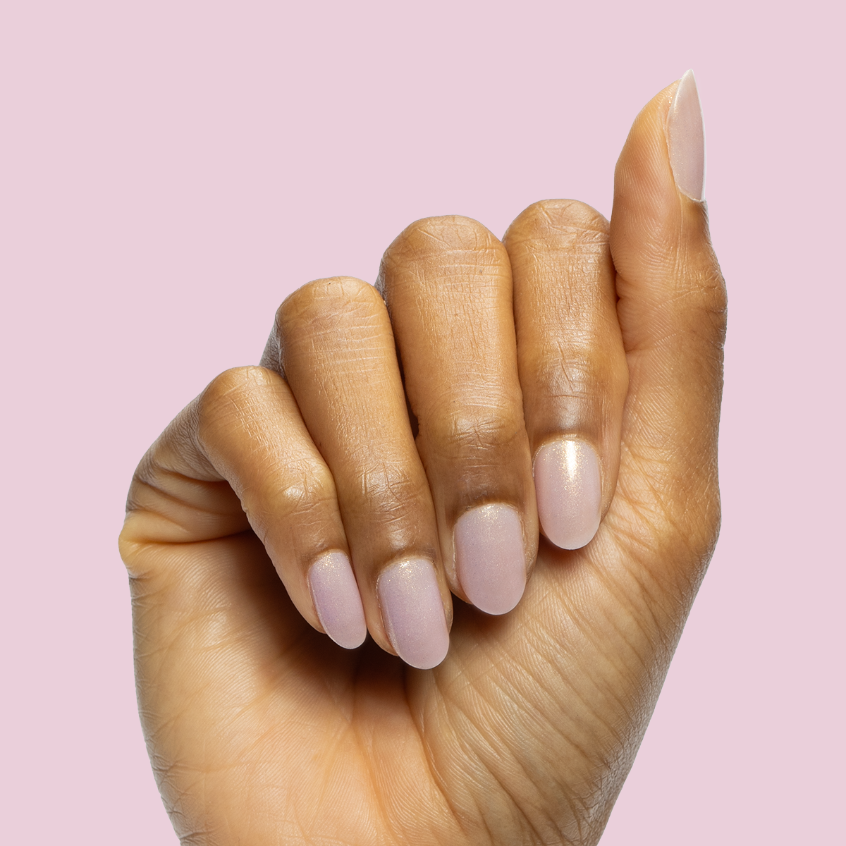 Star Baker、mySite、solidvoid