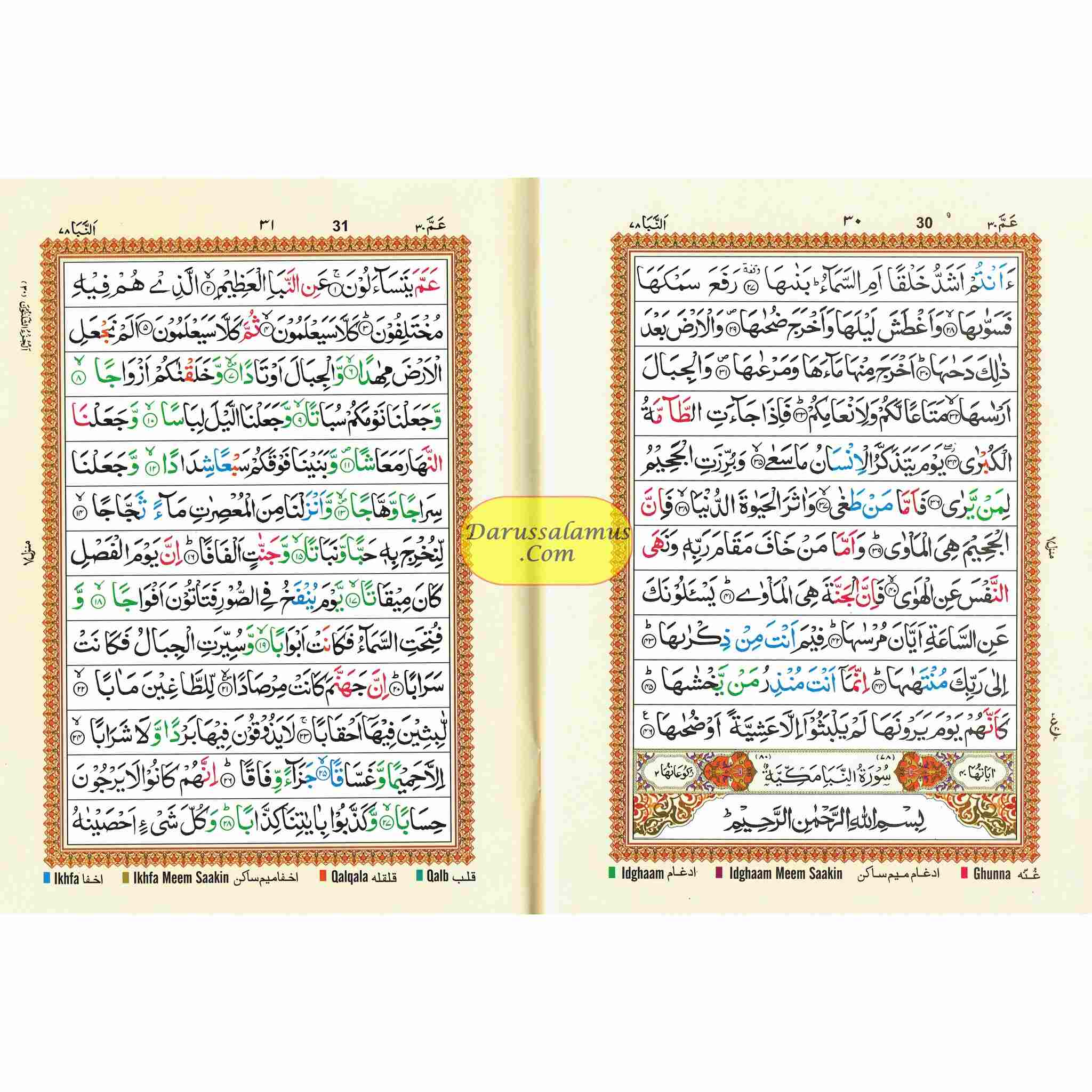 Juzz Amma Colour Coded ( Arabic Language) Standard Size 9.5 x 7.0 inch、mySite、topwebapps
