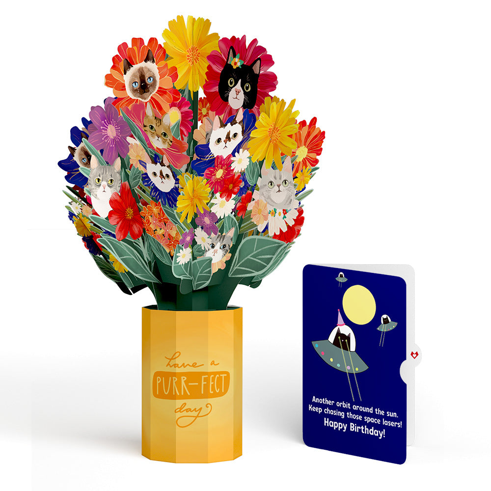 Purr-fect Cat Birthday Bouquet and Space Laser Cats Sentiment Set、mySite、solidvoid