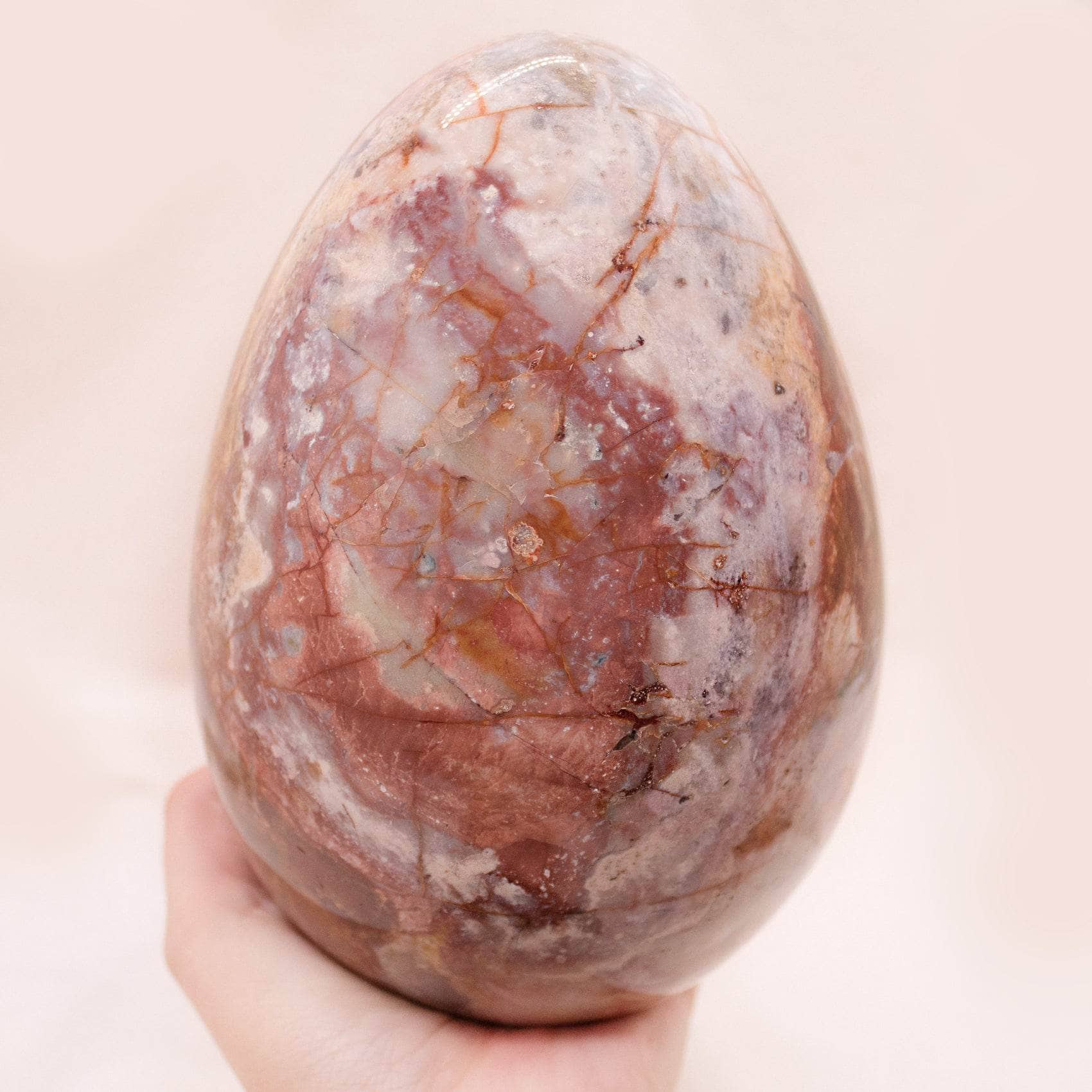 Petrified Wood Egg - AAA Premium Quality、mySite、hinf8tx79