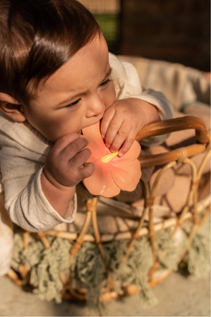 Iris the Hibiscus、mySite、g9winljtr