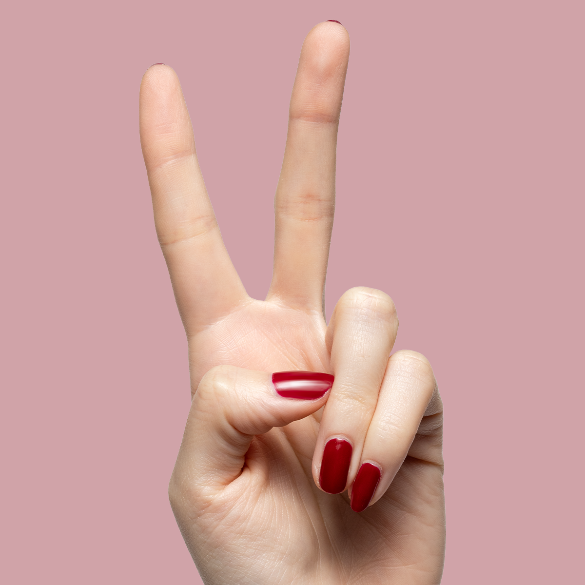 Garnet Glass、mySite、solidvoid