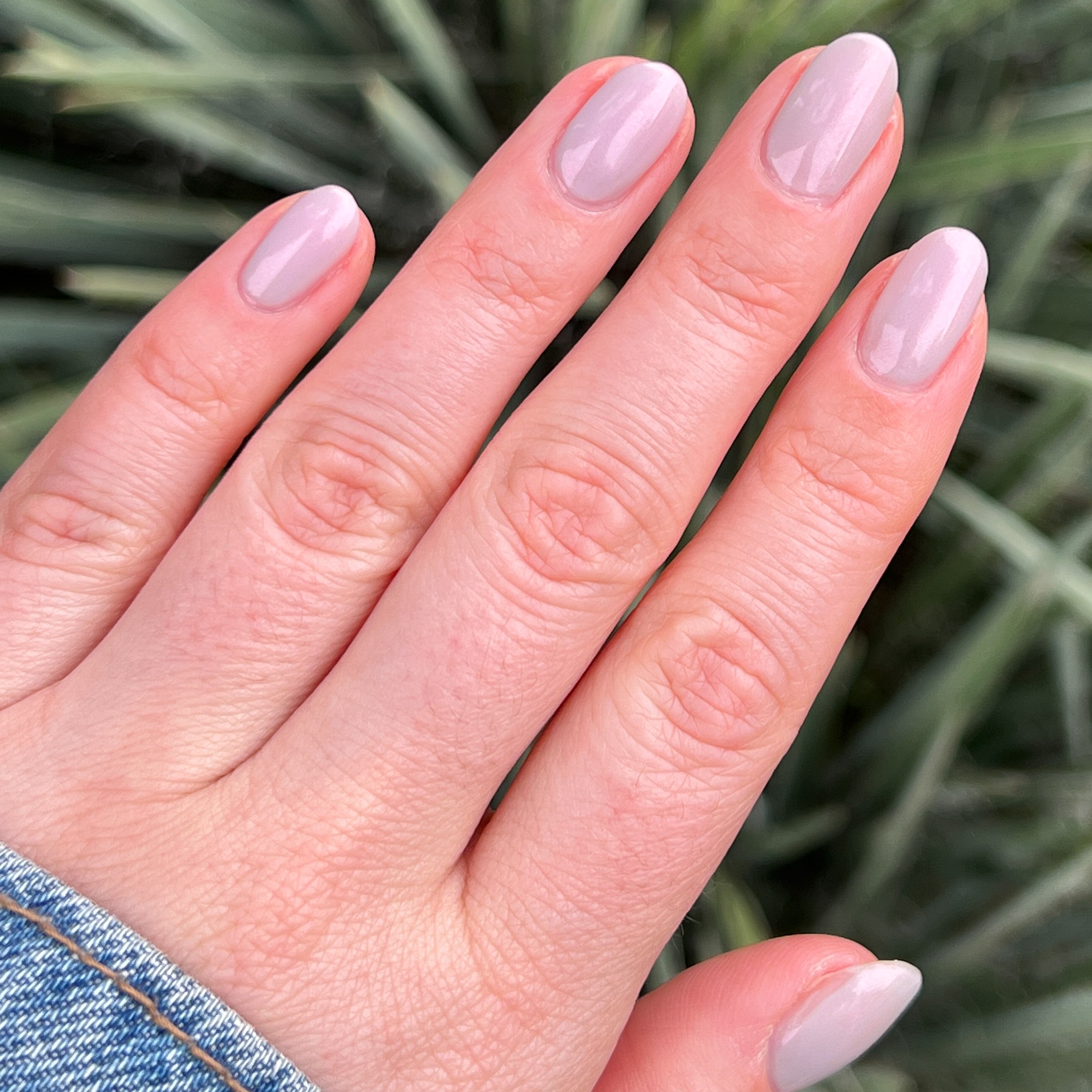 Lucky Oyster、mySite、solidvoid