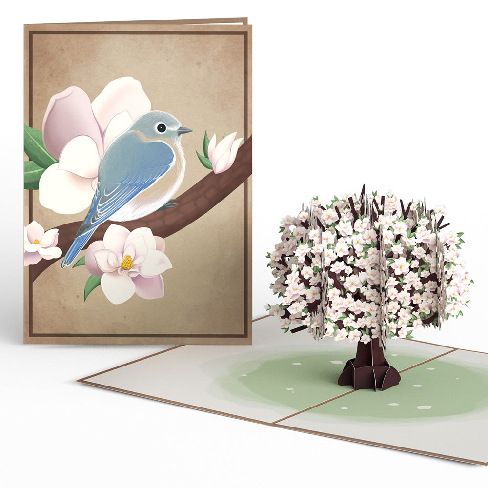 Pink Magnolia Tree Pop-Up Card、mySite、solidvoid