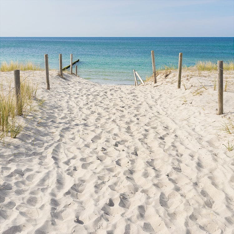  Scrapbook Paper - Footprints in the Sand、mySite、ghnorth