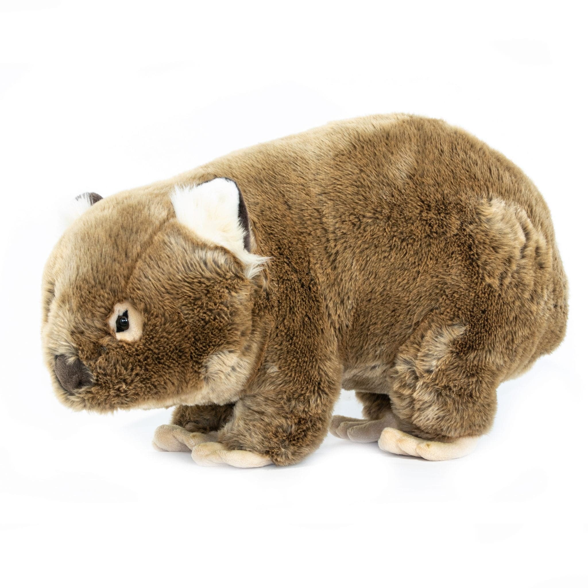 Large Plush Lifelike Wombat Size 55cm/21.6″、mySite、g9winljtr