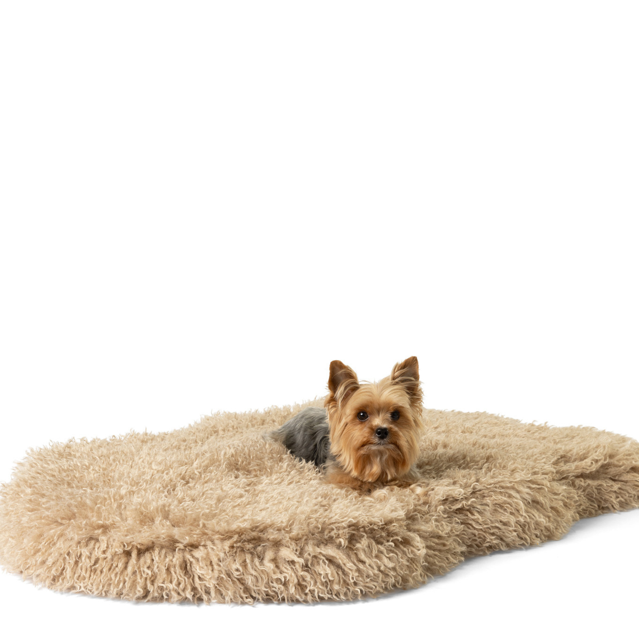 PupRug™ Luxe Faux Fur Orthopedic Dog Bed Cover - Plush Sheep Tan (Bed Not Included)、mySite、solidvoid