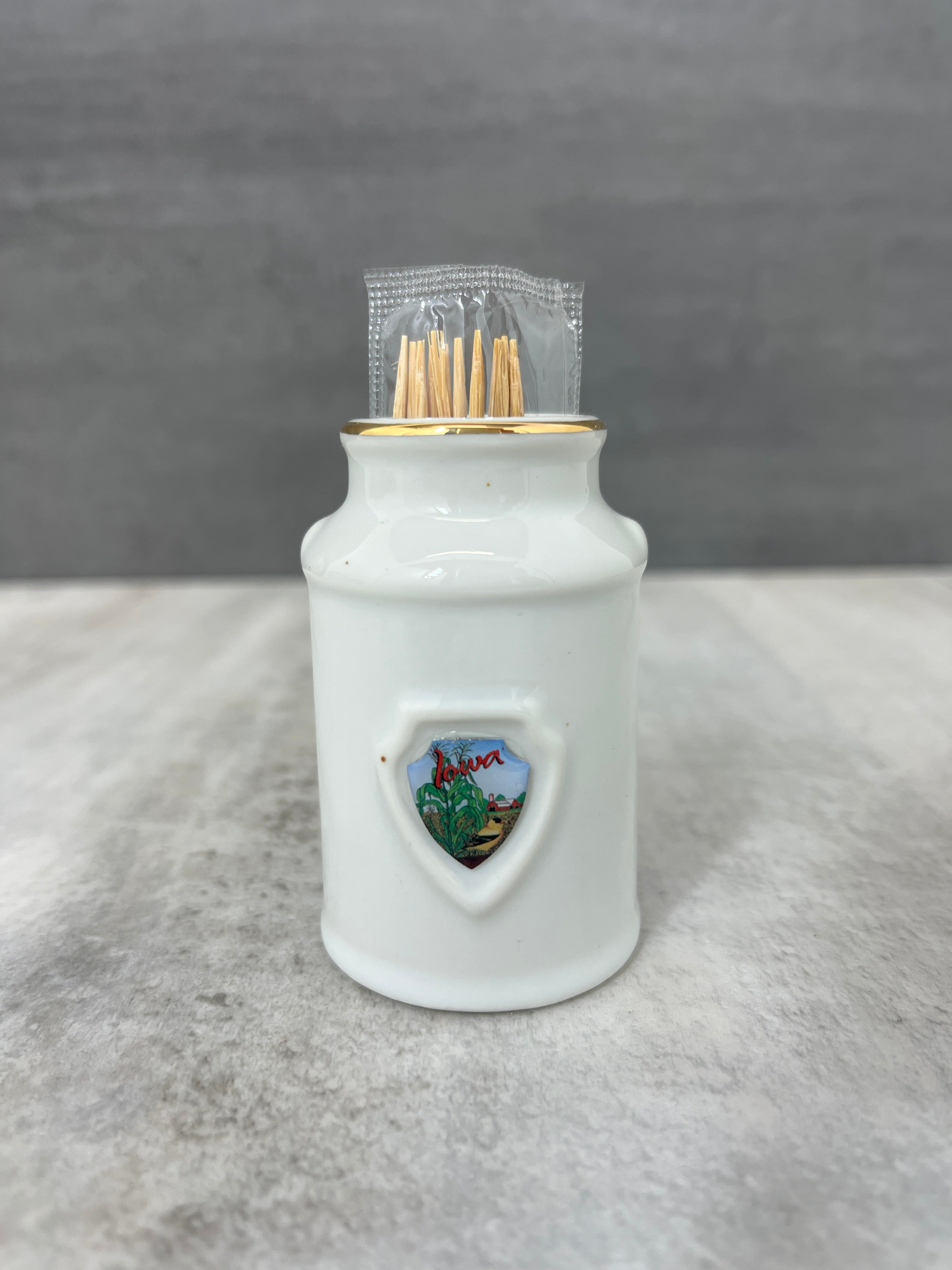 Iowa Tooth Pick Holder、mySite、garagedoors4me
