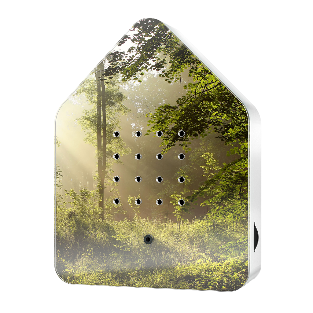 Bird Soundbox: Sunbeam、mySite、topwebapps