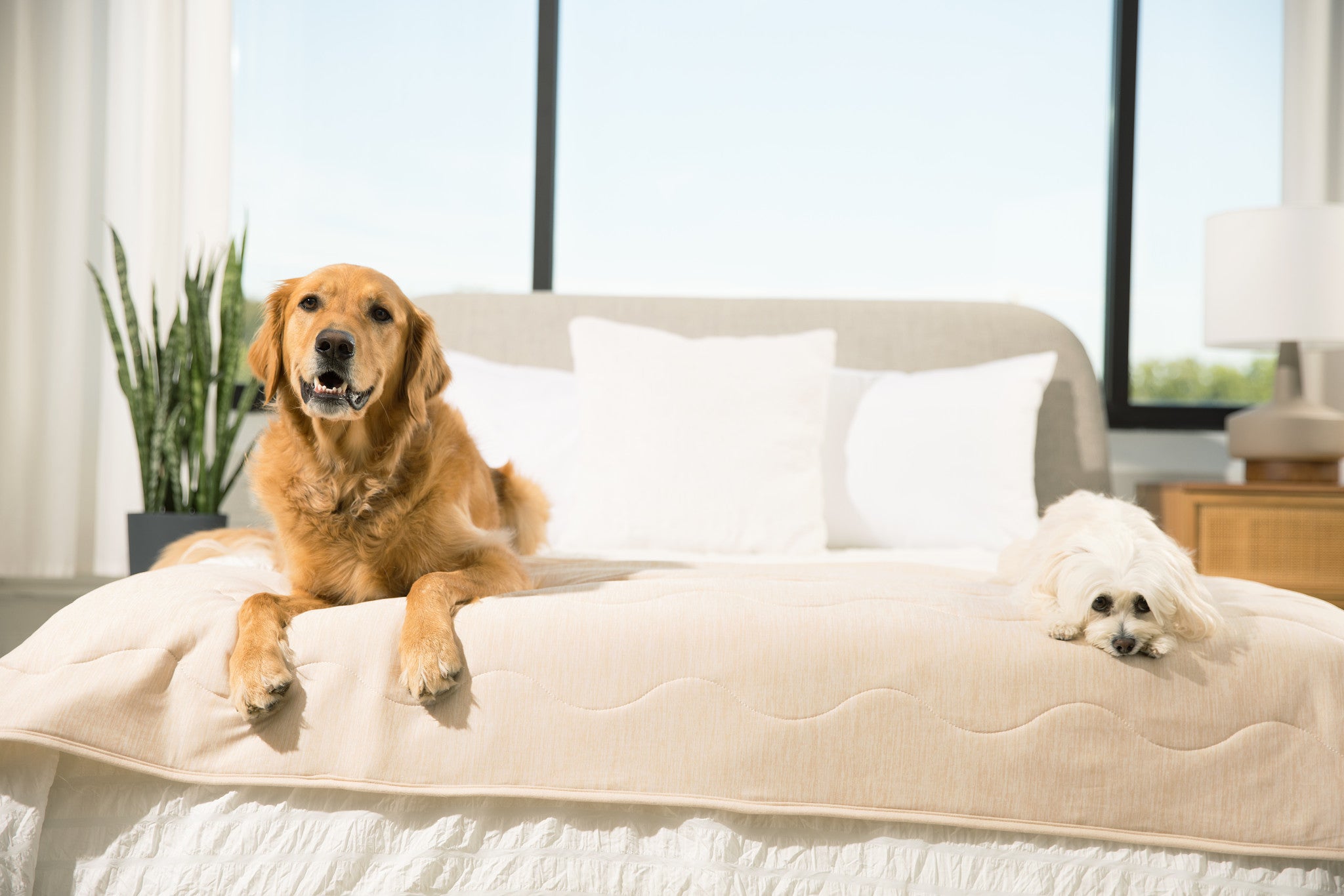 PupChill™ Cooling Waterproof Runner Blanket - Arctic Sand、mySite、solidvoid