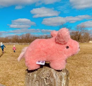 Pink Piggy Alpaca Fur Plush Piggy Handmade in Peru、mySite、g9winljtr