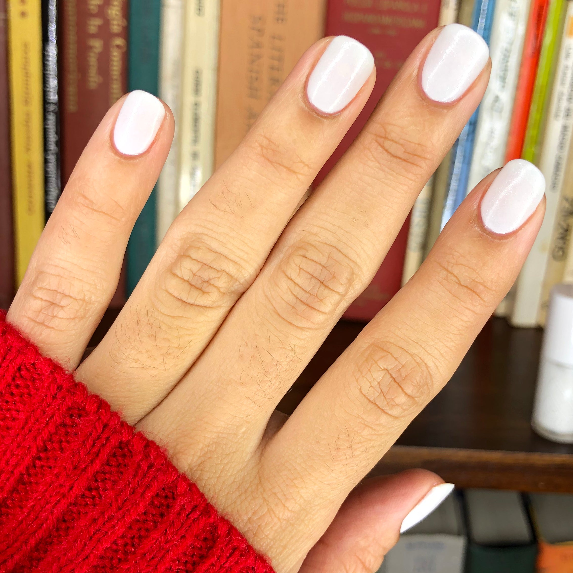 STELLAR、mySite、solidvoid