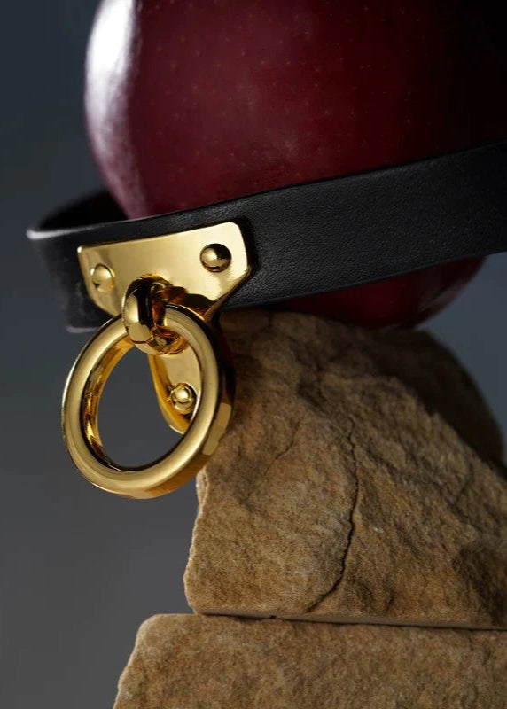  Leather Cosplay Choker、mySite、justintrudeaud