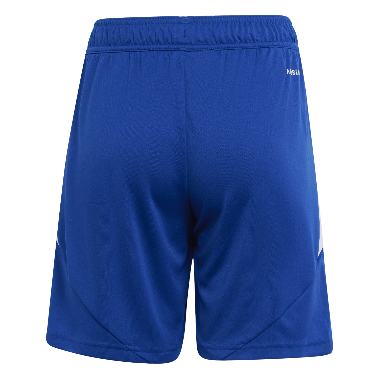 adidas Youth Tiro 24 Shorts - Royal、mySite、noshort