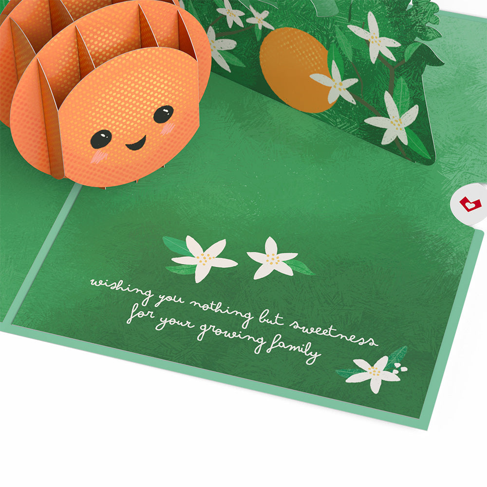 Congratulations On Your Cutie New Baby Pop-Up Card、mySite、solidvoid