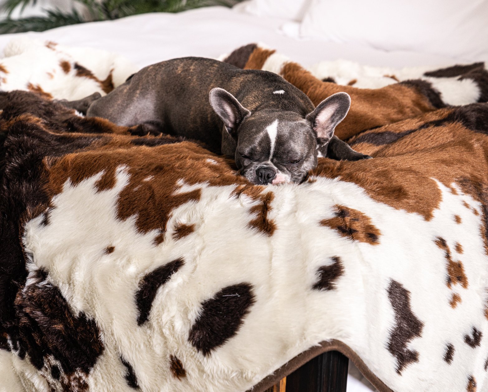 PupRug™ Junior Memory Foam Bed + Matching Waterproof Blanket Bundle - Brown Faux Cowhide、mySite、solidvoid