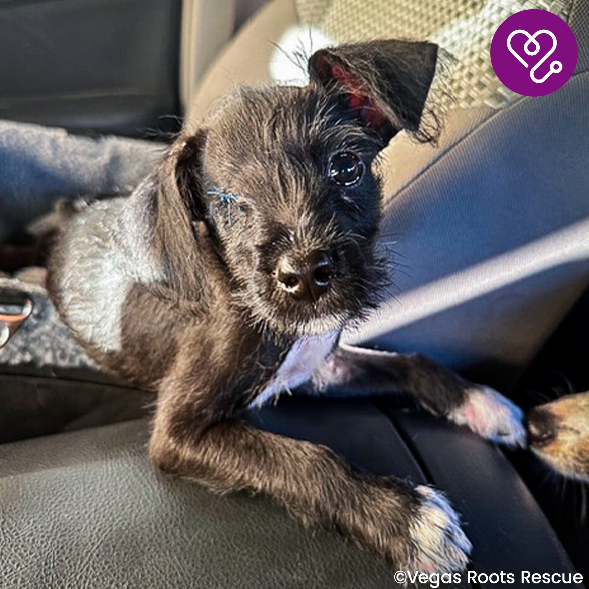 Funded: Help Plankton See a Brighter Future、mySite、camillekostekn