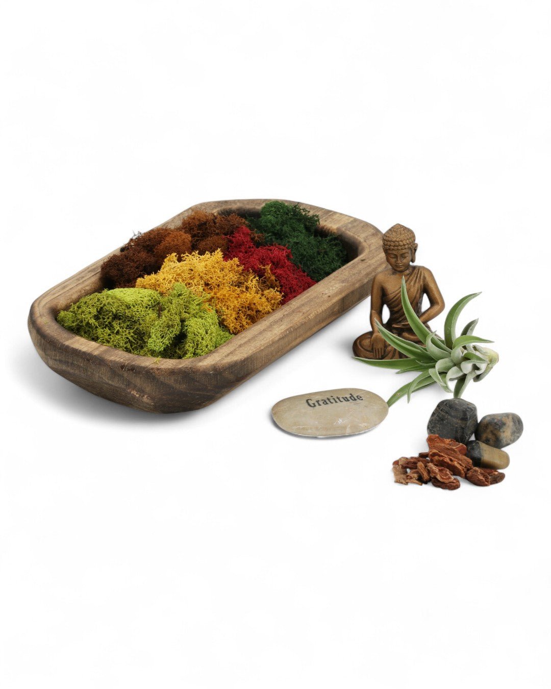 Gartitude Nature’s Garden Buddha Terrarium、mySite、topwebapps