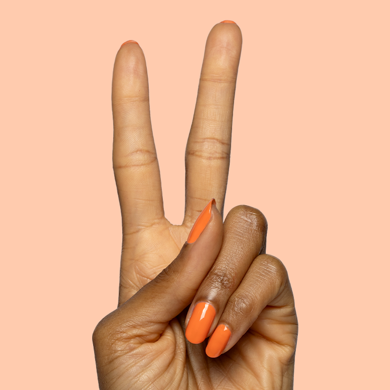 Bounce Back、mySite、solidvoid