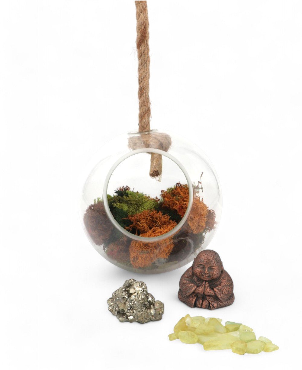 Lucky Buddha Pyrite Crystal Hanging Globe Terrarium、mySite、topwebapps