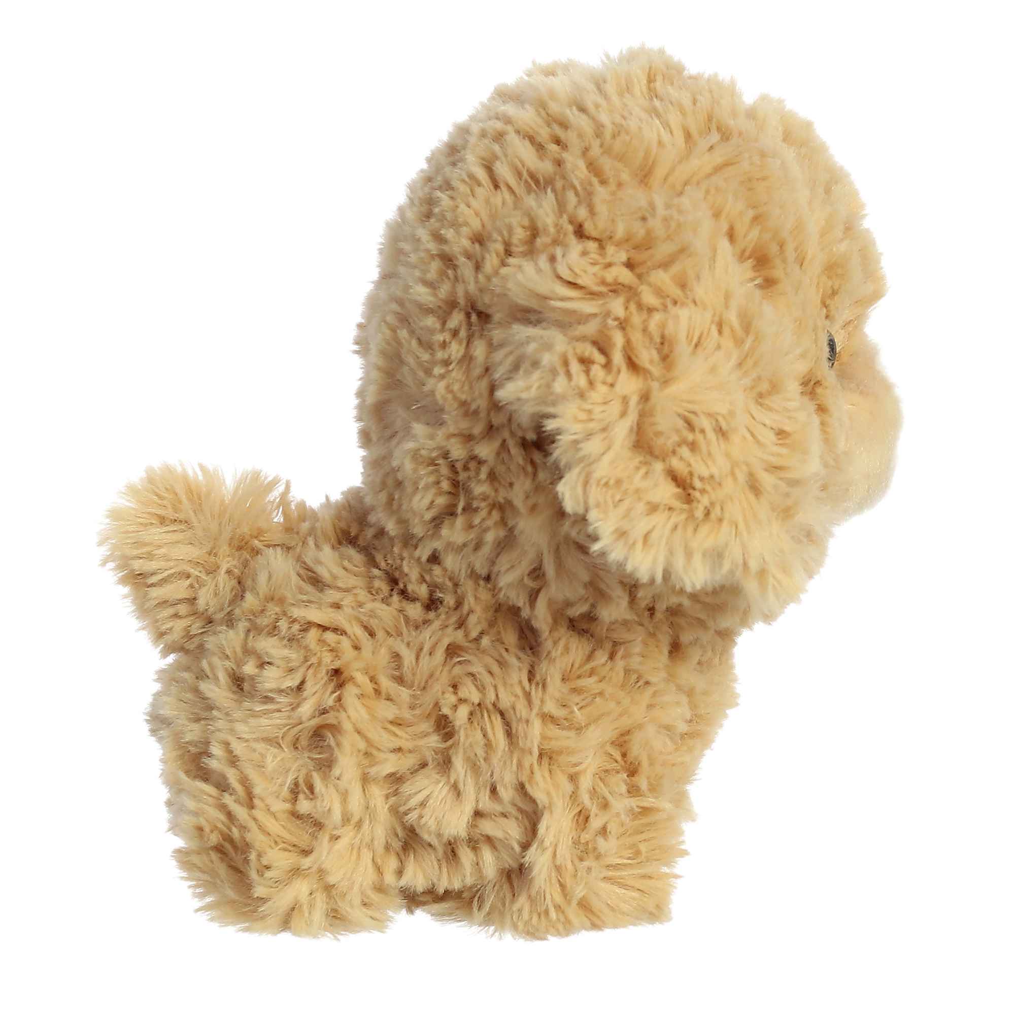 Aurora® - Teddy Pets™ - 7 Goldendoodle、mySite、g9winljtr