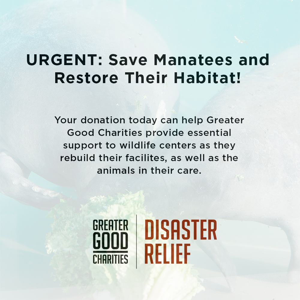 Save Manatees and Restore Their Habitat、mySite、camillekostekn