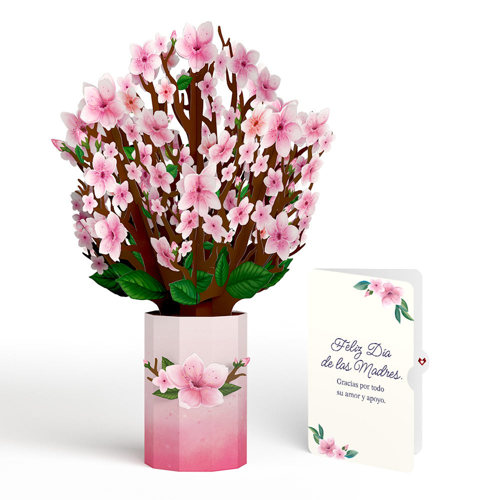 Cherry Blossom Mother's Day Bouquet and Sentiment Set for Spanish Mom、mySite、solidvoid