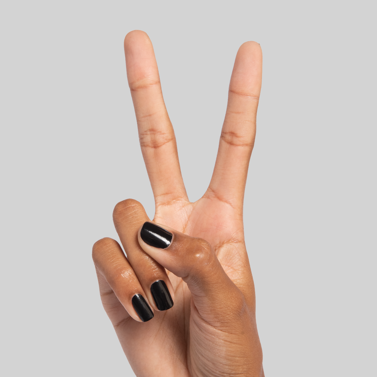 Cateye、mySite、solidvoid