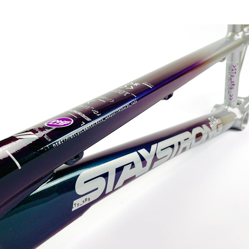  Stay Strong For Life 2024 V5 Mini Race Frame - Disc Version、mySite、merchandisen