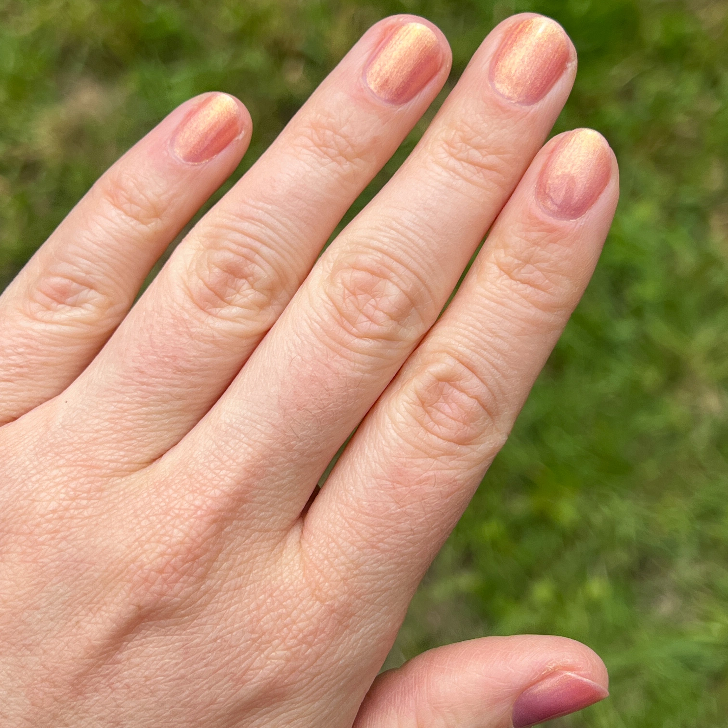 Internal - Baby Starfish、mySite、solidvoid