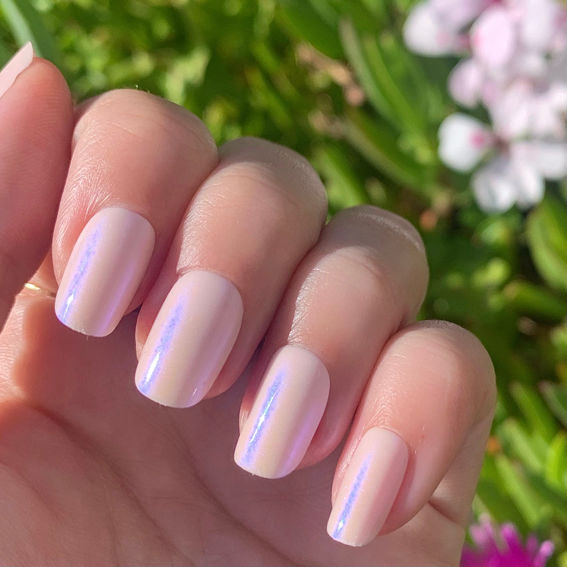 Pink Iridescent | Short | Squoval、mySite、solidvoid