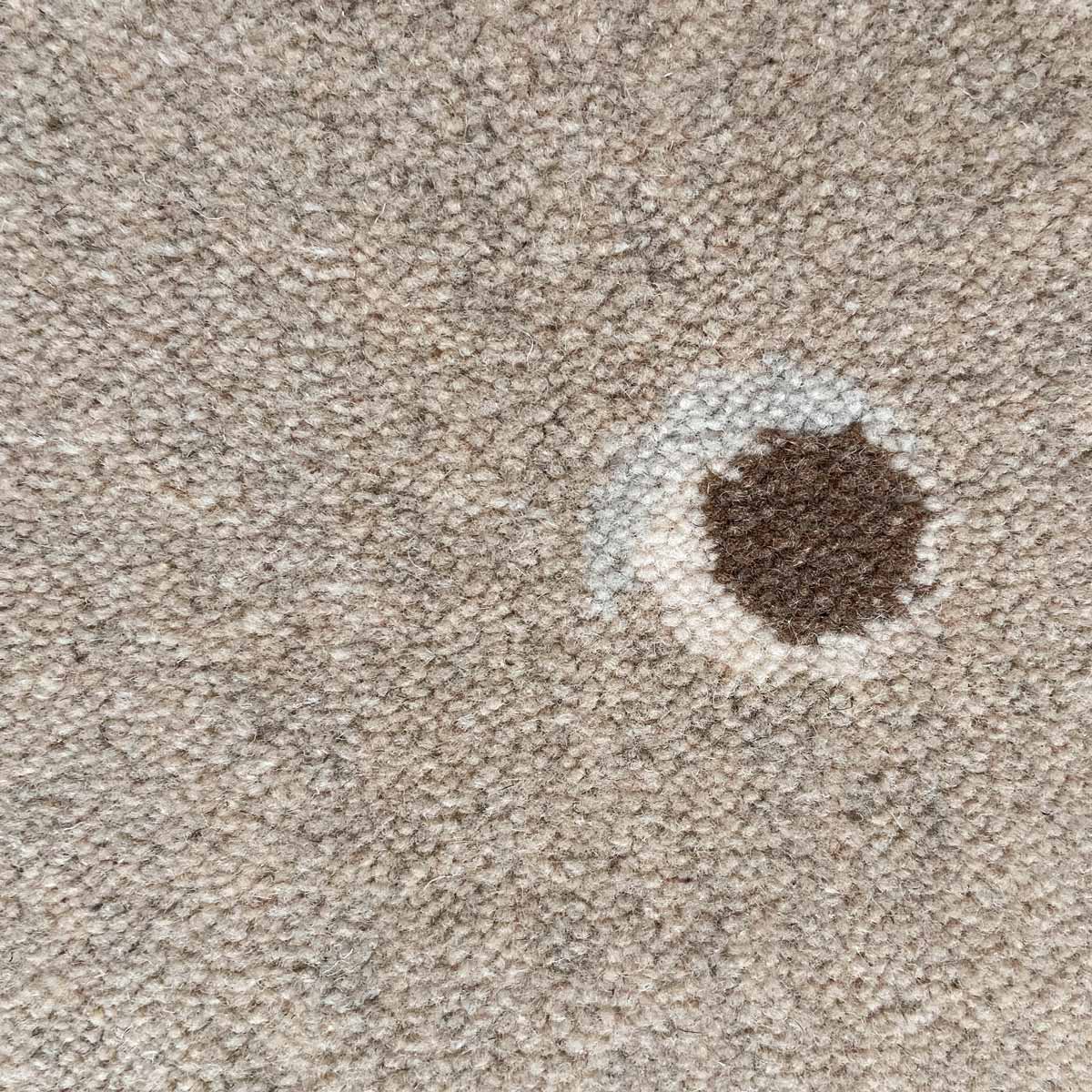 Bear Beige Area Rug、mySite、gigharbornorthrealestate