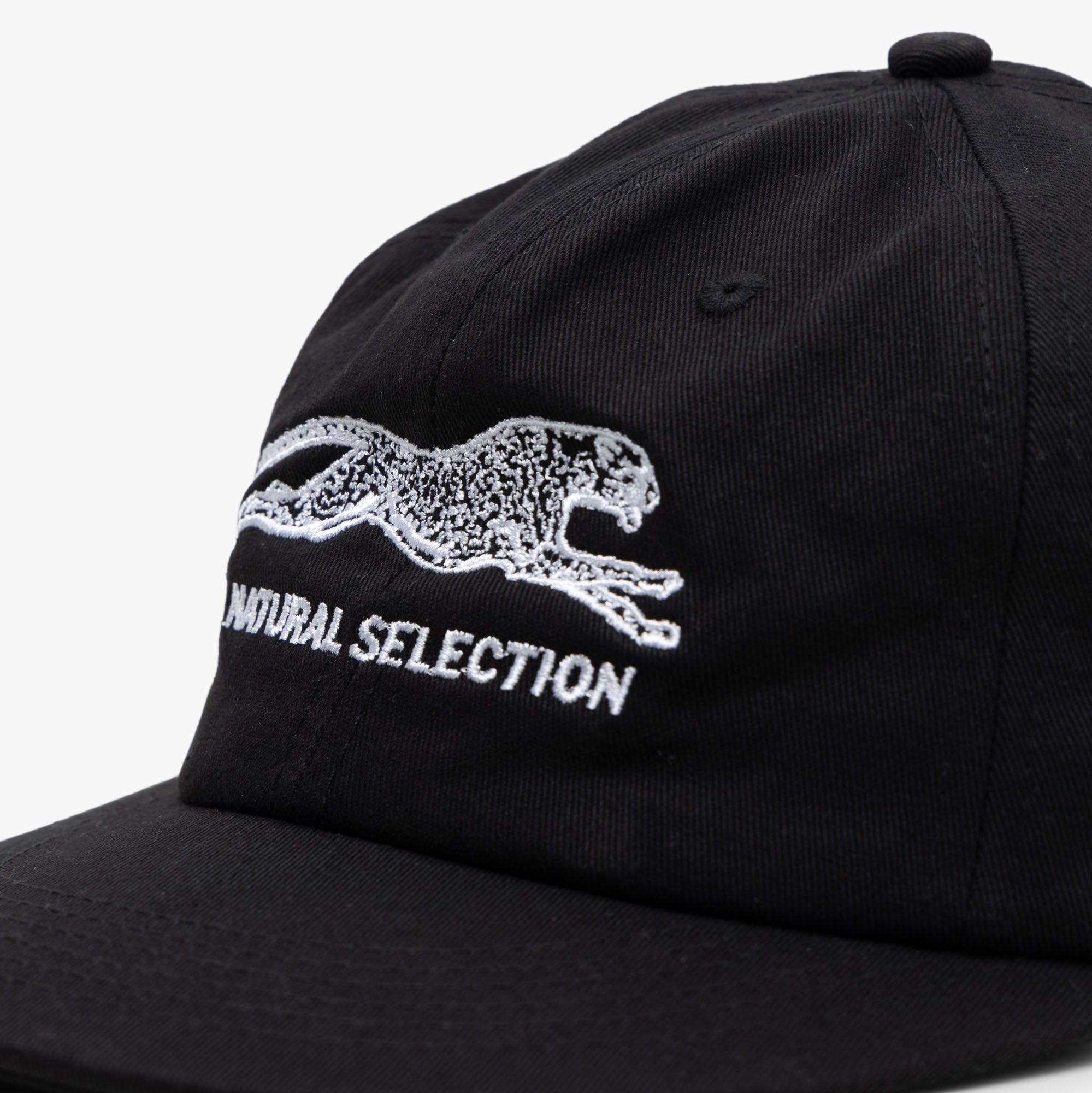  Brother Brother Natural Selection Cap Black / White、mySite、merchandisen