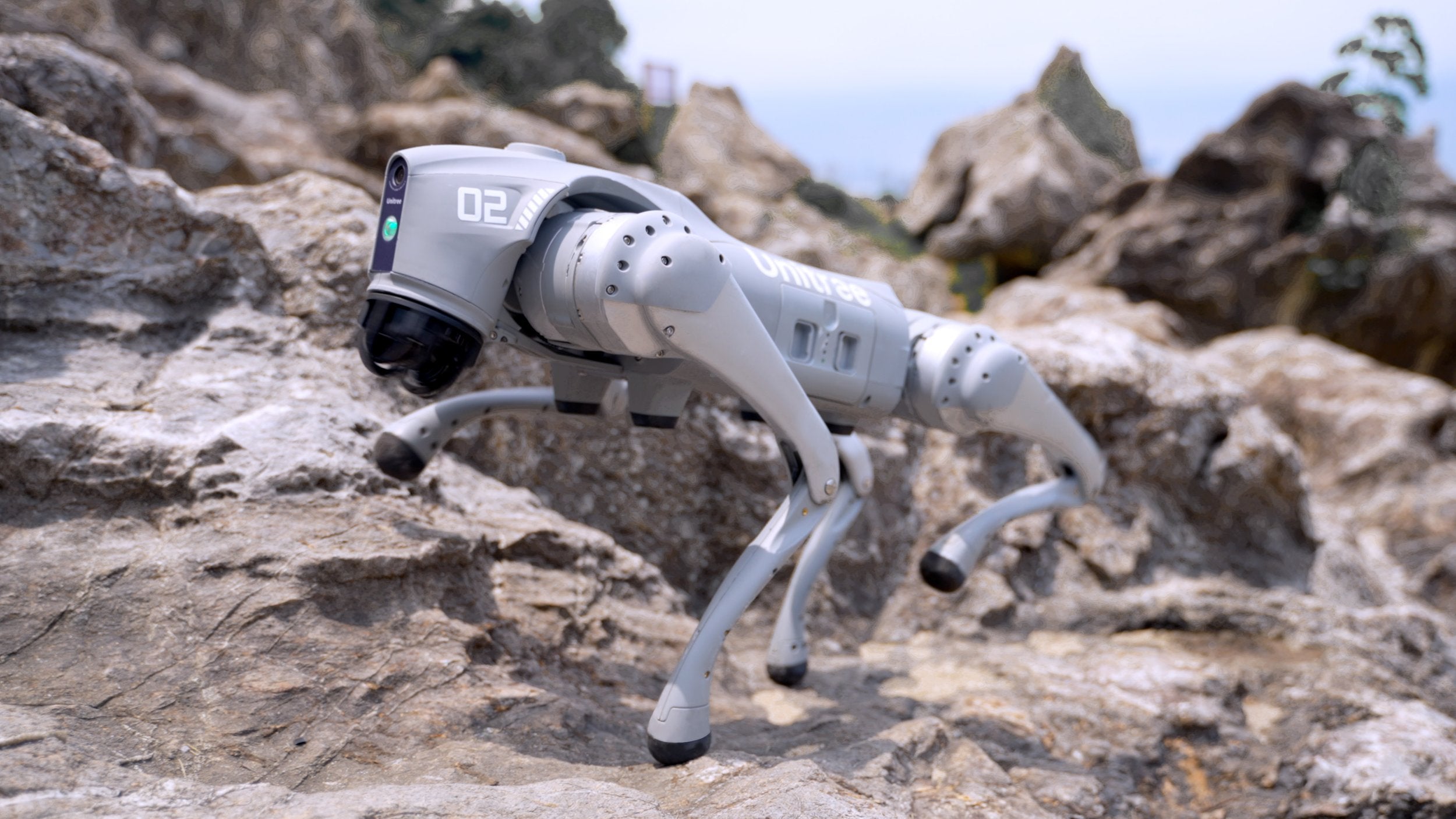 Unitree Go2 Ent、mySite、lovesweatpilates