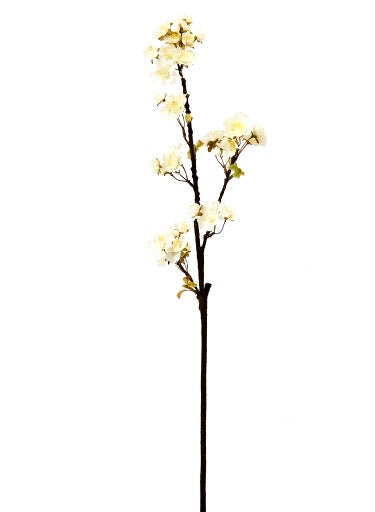  White Quince Flower、mySite、elrpsem3k