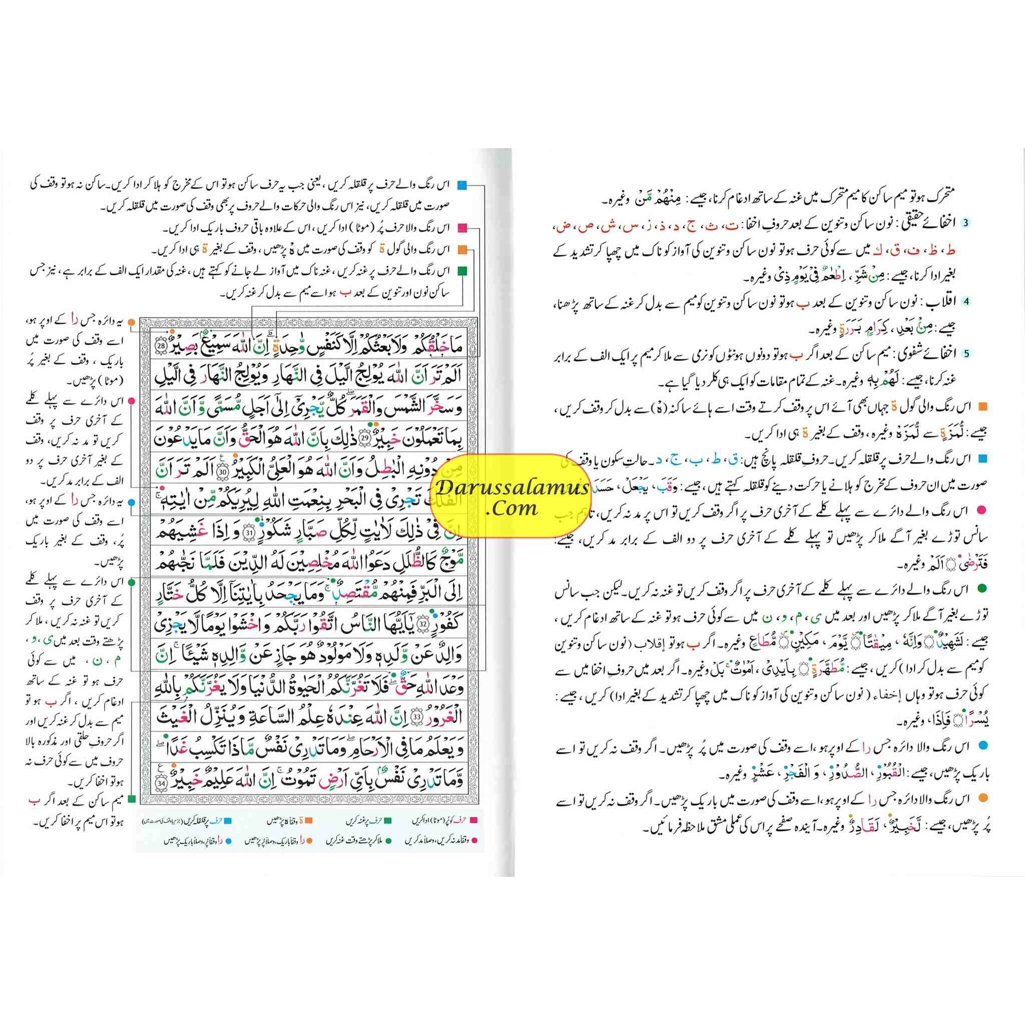 Tajweed Quran persian, Urdu & Southafrican Script with 15 Lines ( Ref 213)、mySite、topwebapps