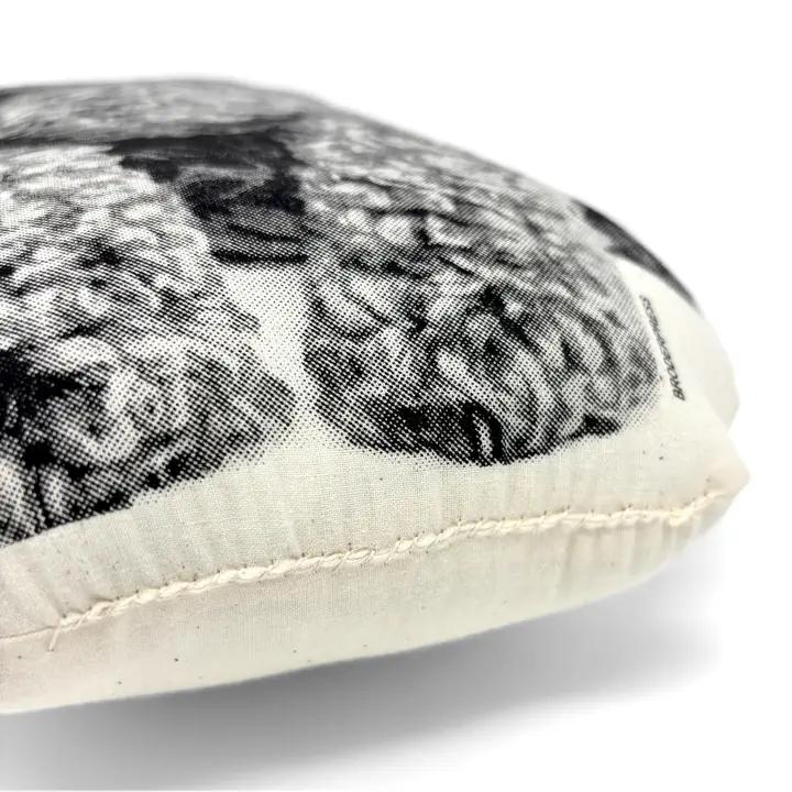 Poodle Pillow、mySite、g9winljtr